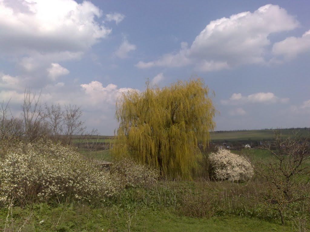 Желепове з panoramio.com - Желепово