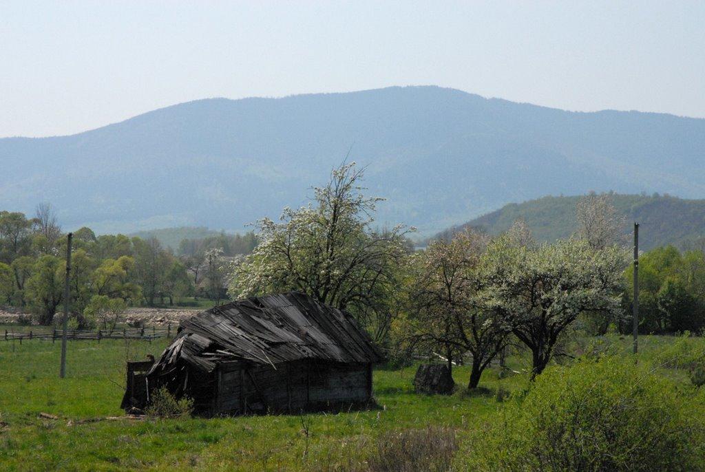 Шевченкове з panoramio.com - Шевченкове
