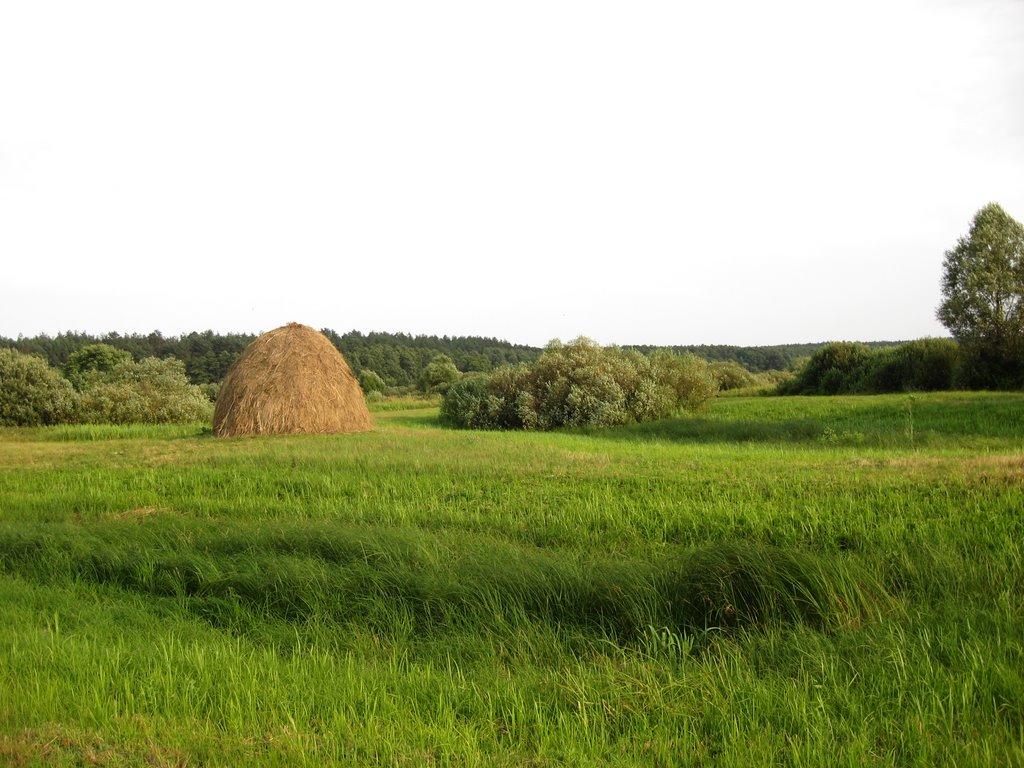 Красноярське з panoramio.com - Красноярське