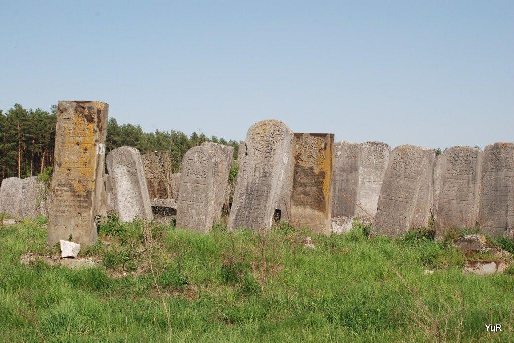 Броди з panoramio.com - Броды