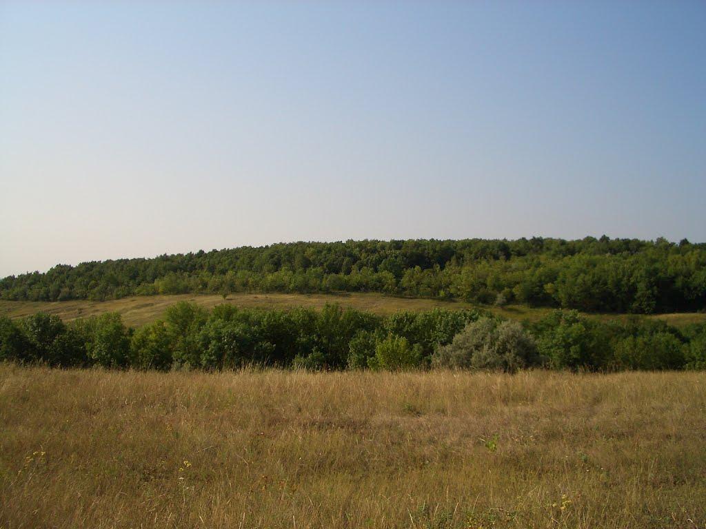 Долина з panoramio.com - Долина