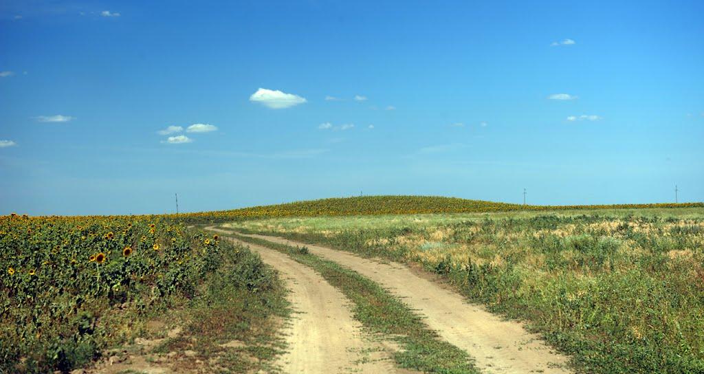 Новоолександрівка з panoramio.com - Новоолександрівка