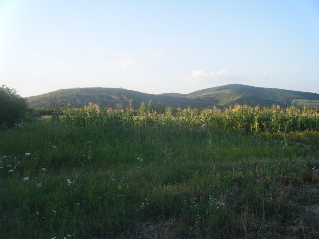 Боржава з panoramio.com - Borzhava