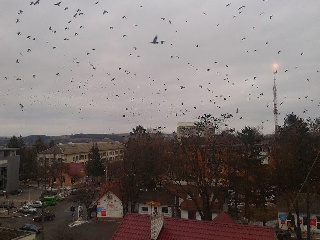 Бурштин з panoramio.com - Burshtyn