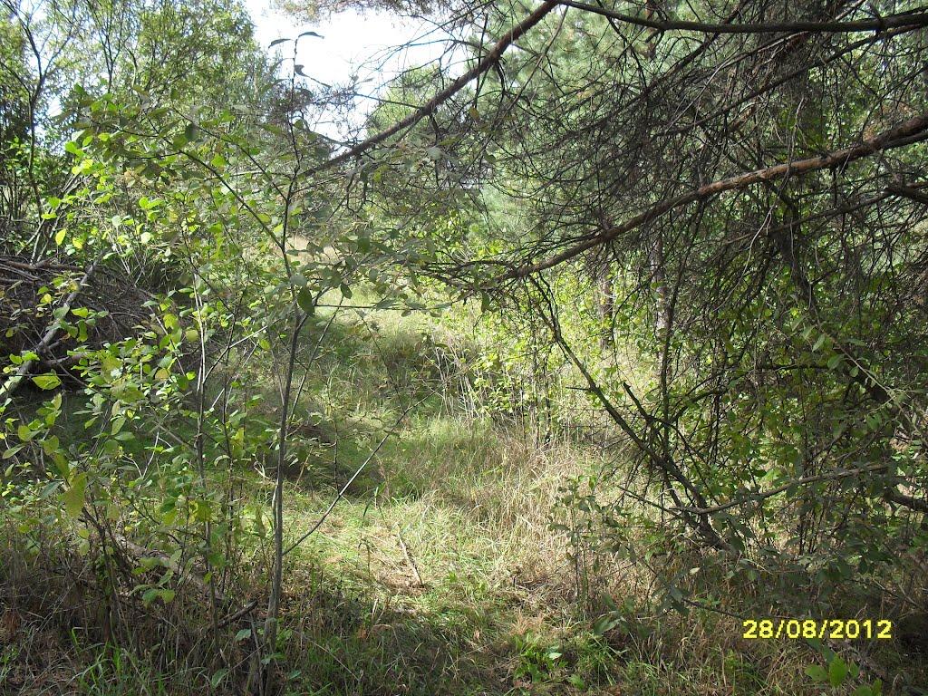 Куданівка з panoramio.com - Куданівка