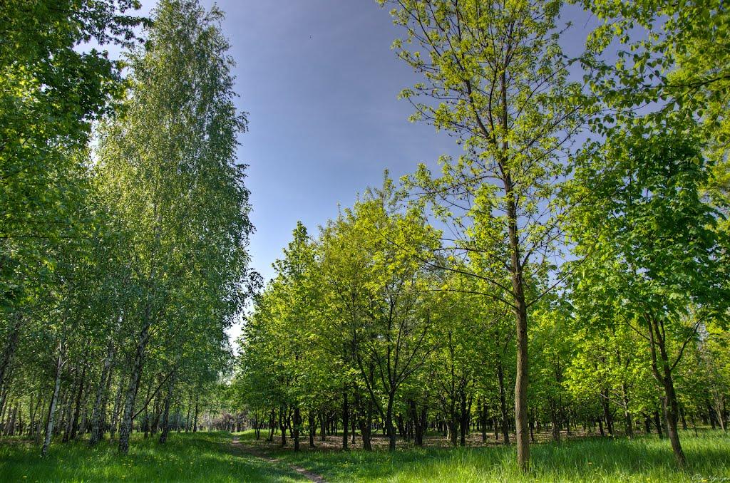 Пологи з panoramio.com - Пологи
