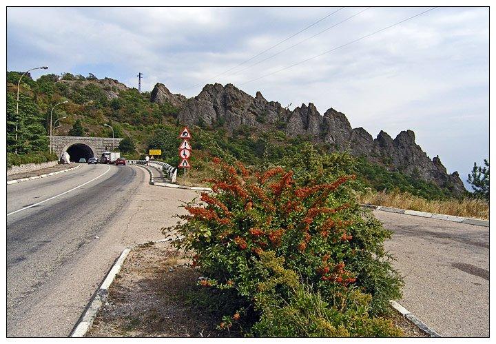 Санаторне з panoramio.com - Санаторне