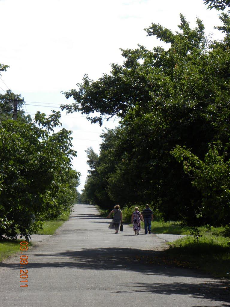 Вереміївка з panoramio.com - Веремиевка