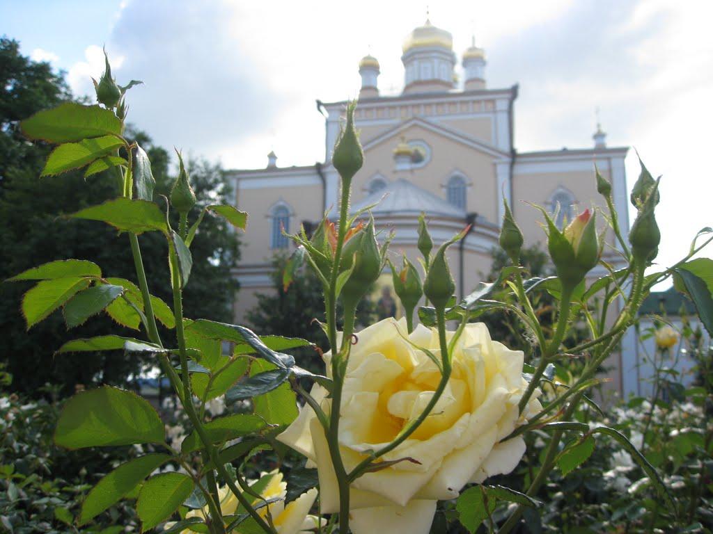 Корець з panoramio.com - Корец