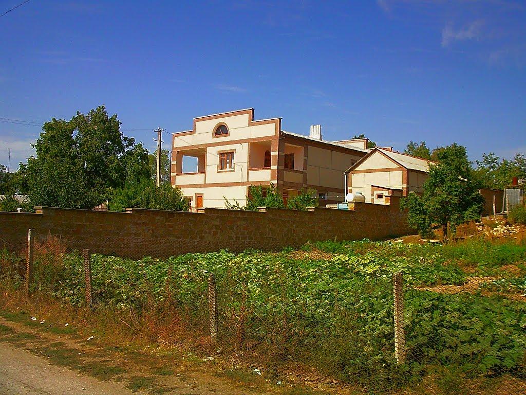 Кочергіне з panoramio.com - Кочергино
