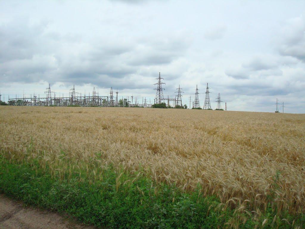 Побузьке з panoramio.com - Побугское
