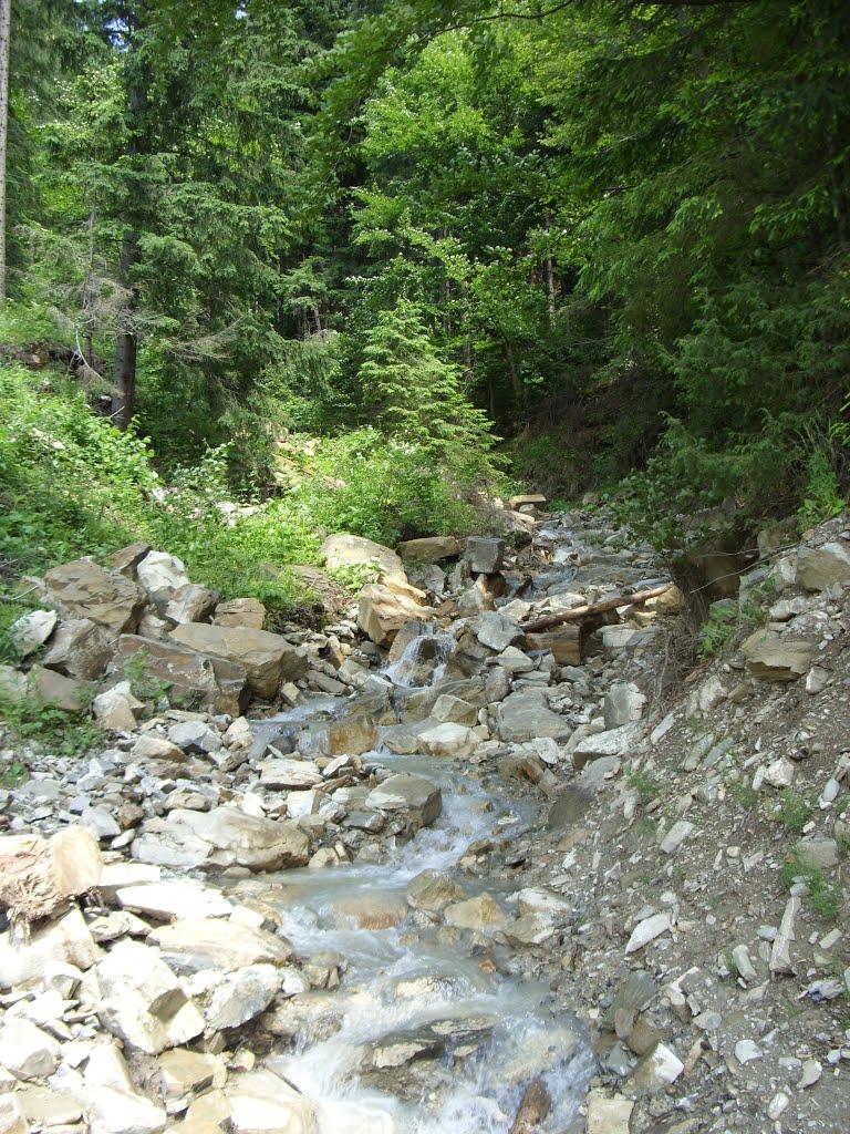 Фальків з panoramio.com (ч.2) - Falkiv