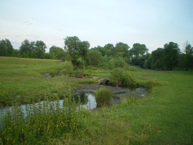 Черепашинці з panoramio.com - Черепашинці