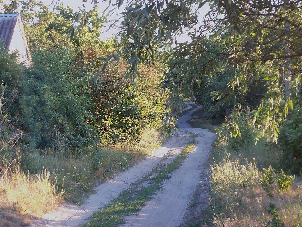 Могилів з panoramio.com - Могилев