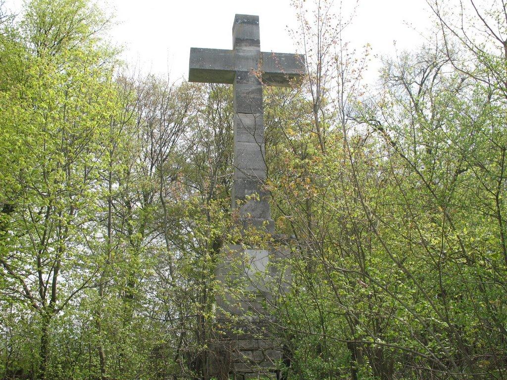 Малиничі з panoramio.com - Малиничі