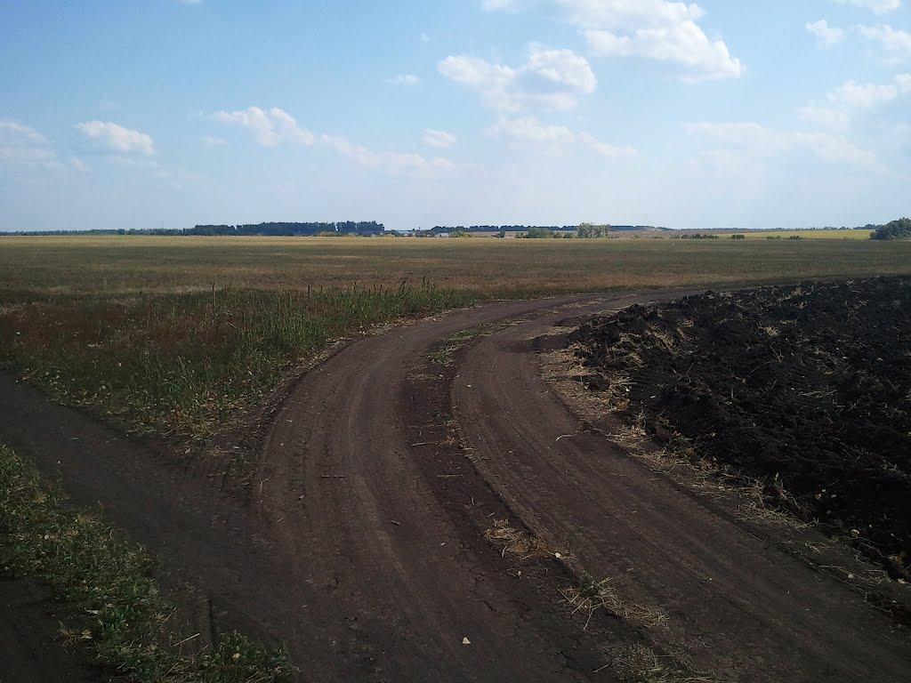 Великі Хутори з panoramio.com - Великі Хутори