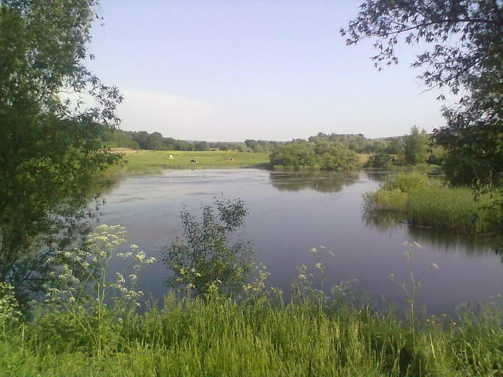 Шостакове з panoramio.com - Шостакове