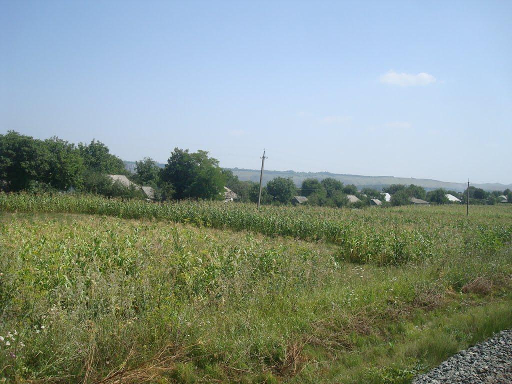 Велика Слобідка з panoramio.com - Велика Слобідка