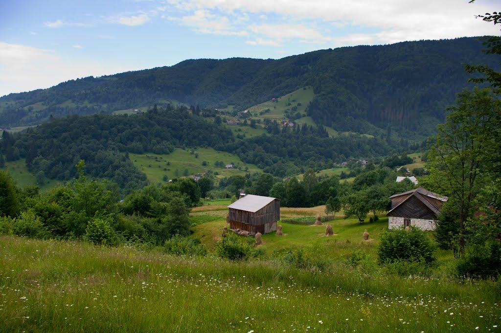 Кваси з panoramio.com - Кваси