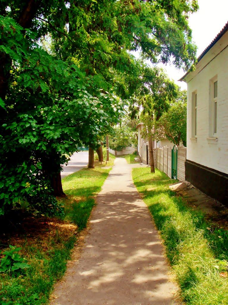 Звенигородка з panoramio.com - Zvenigorodka