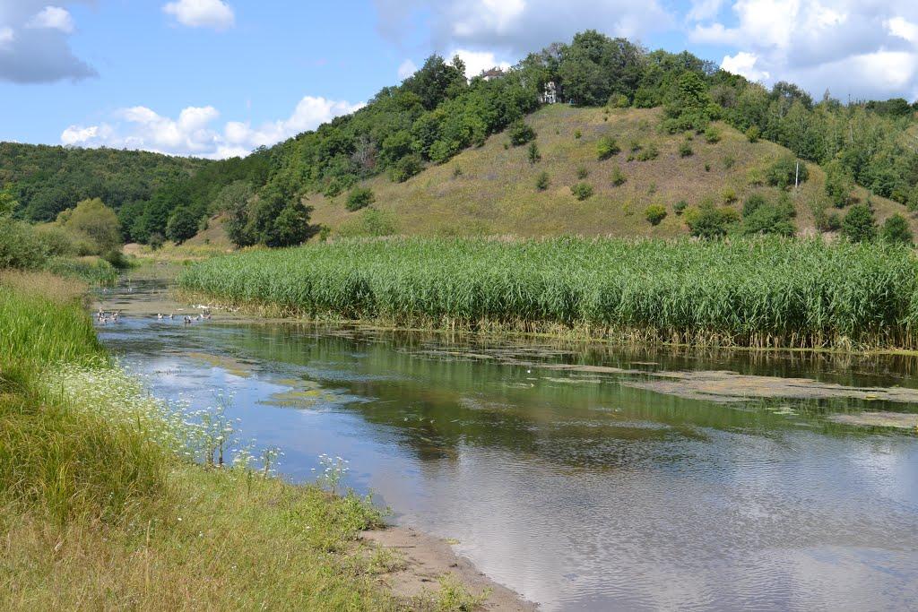 В'ятка з panoramio.com - Вятка
