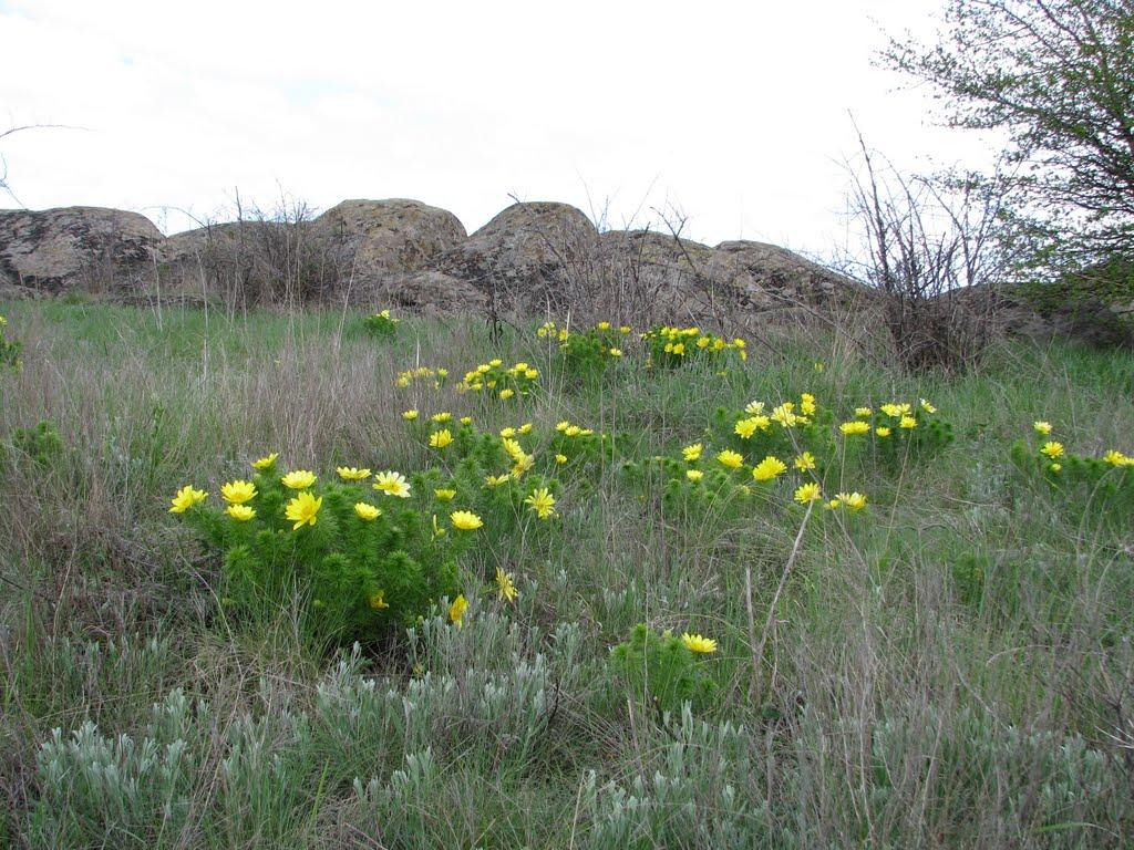 Українка з panoramio.com - Українка