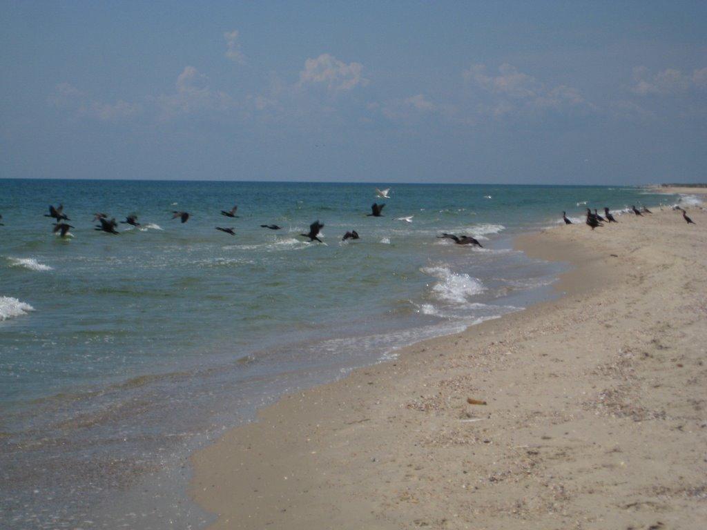 Балабанка з panoramio.com - Балабанка