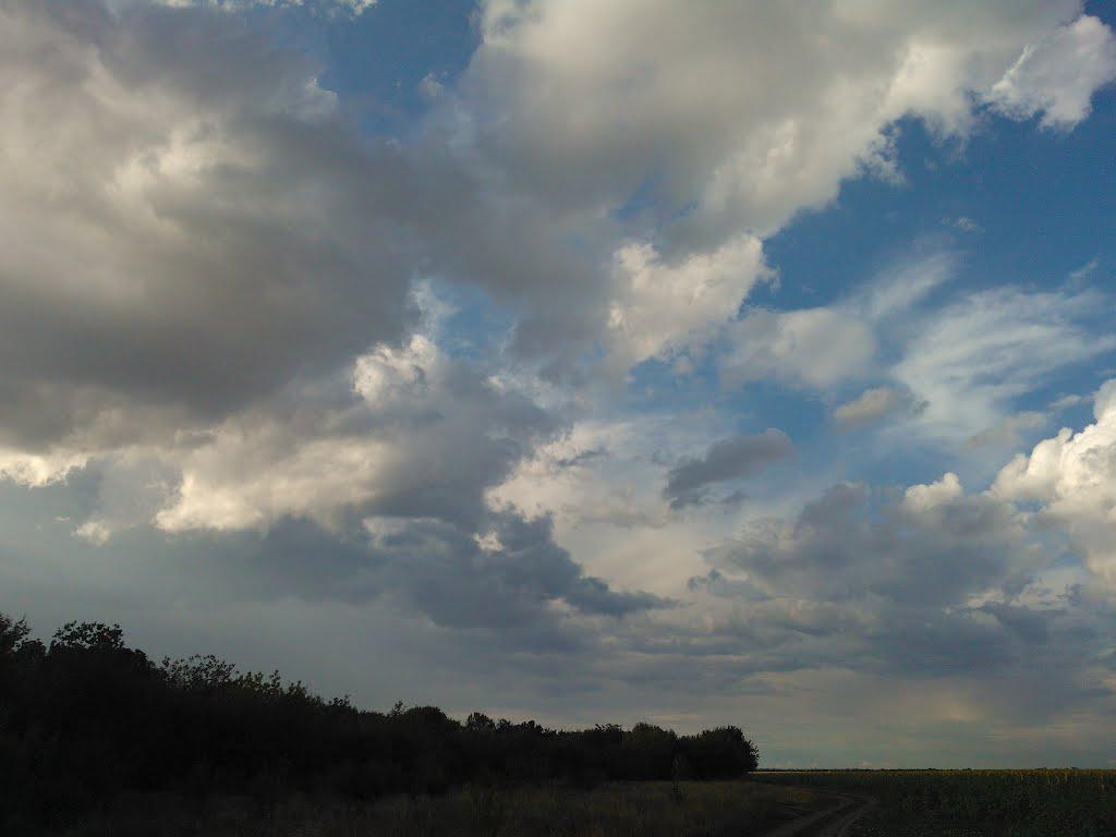 Іллічівка з panoramio.com - Іллічівка