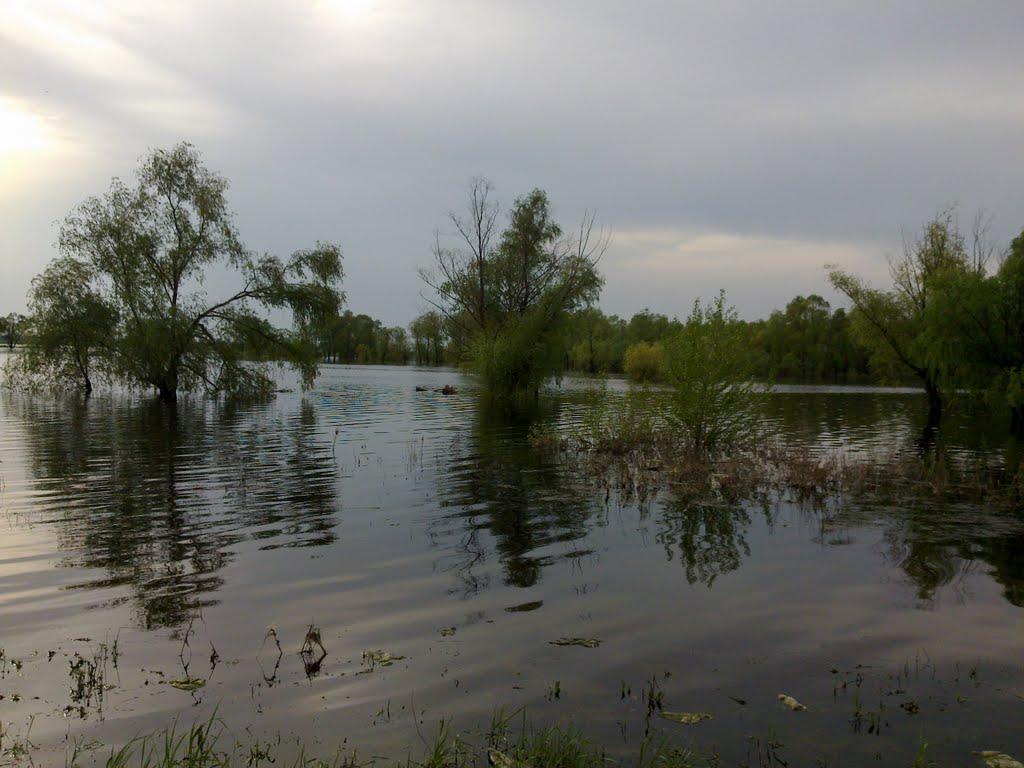 Вишеньки з panoramio.com - Вишенки