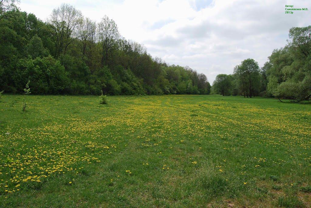 Батьки з panoramio.com - Батьки