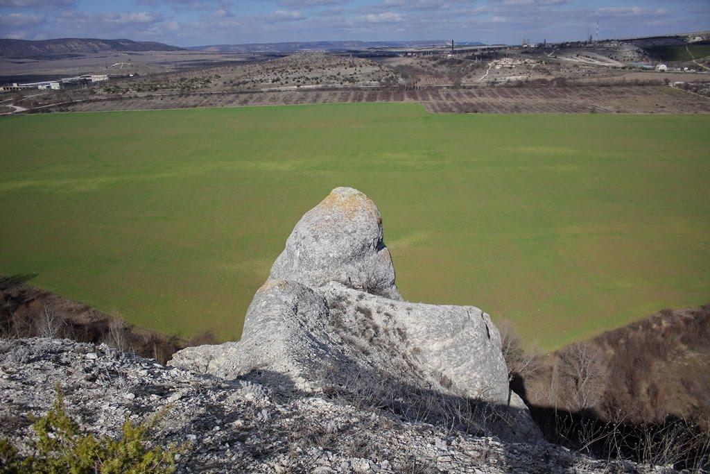 Красний Мак з panoramio.com - Красный Мак