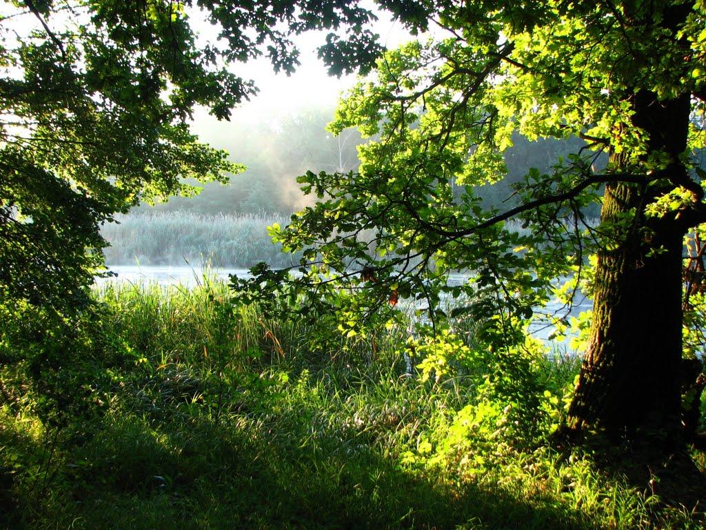 Кремінна з panoramio.com - Kreminna