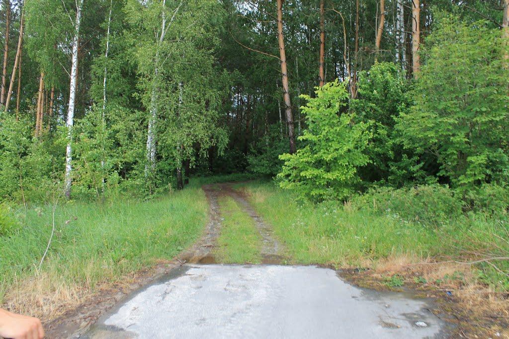 Куліші з panoramio.com - Куліші