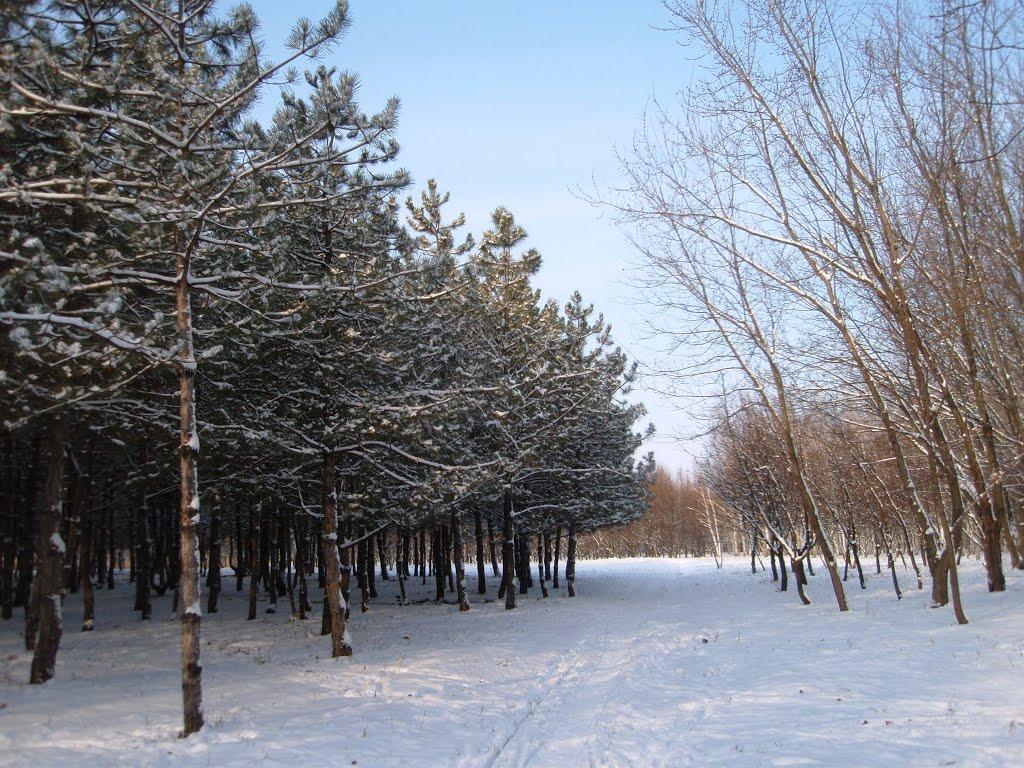 Пологи з panoramio.com - Пологи