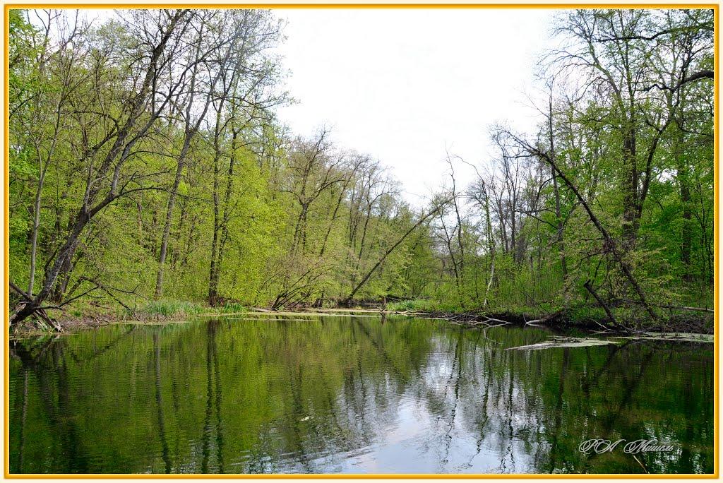 Серебрянка з panoramio.com - Серебрянка