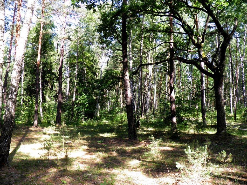 Маневичі з panoramio.com - Маневичи