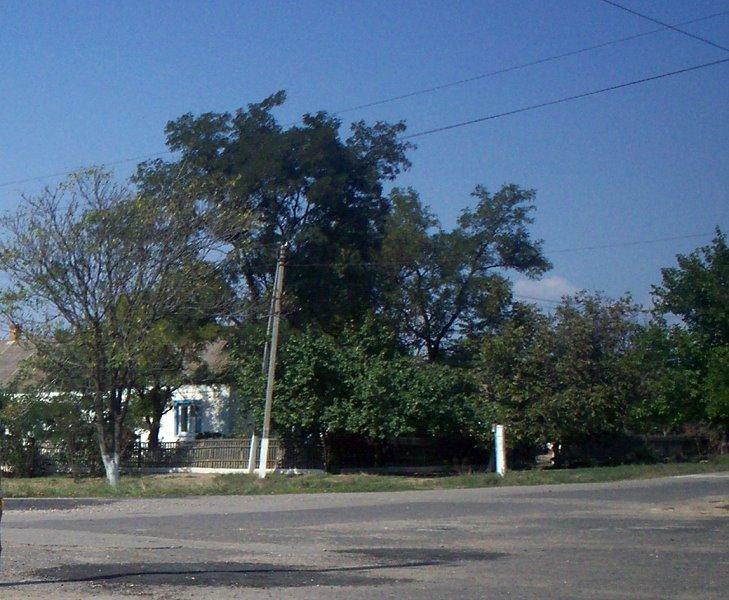 Першокостянтинівка з panoramio.com - Першокостянтинівка