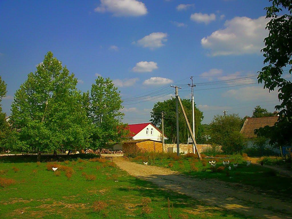 Голубинка з panoramio.com - Golubynka