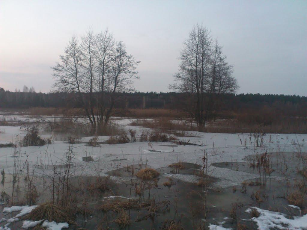 Старикове з panoramio.com - Старикове