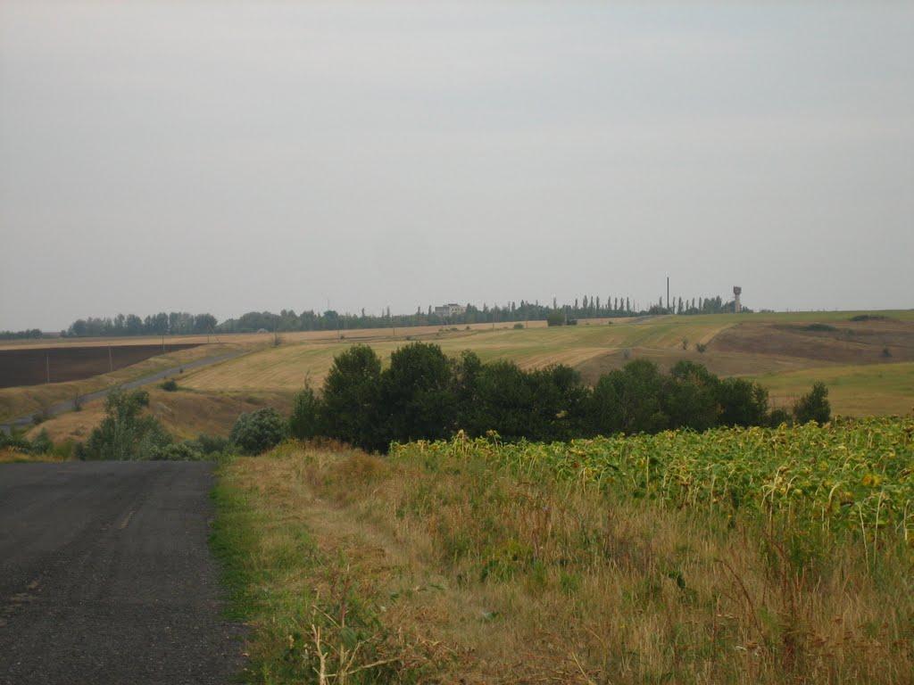 Стрілеча з panoramio.com - Strilecha