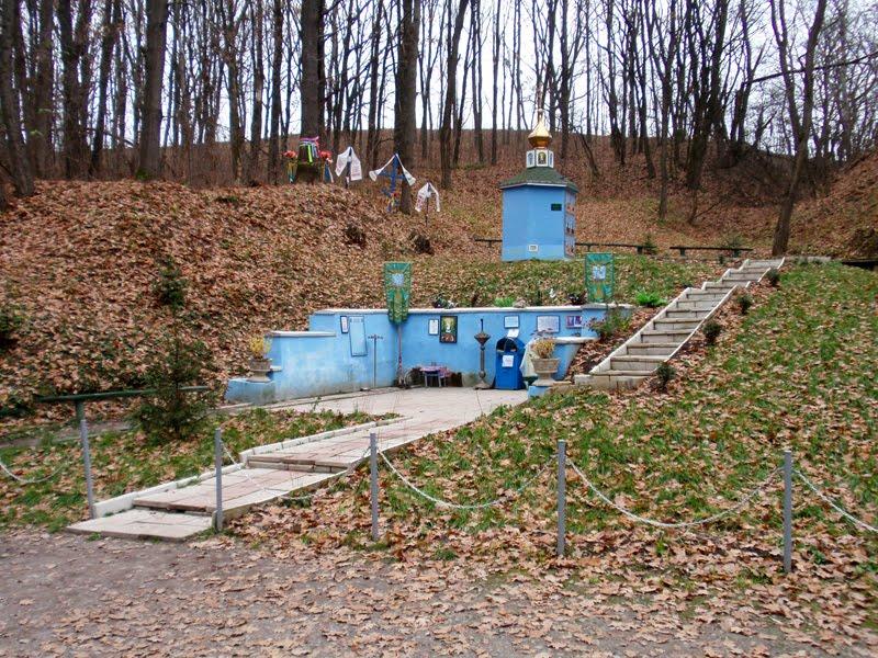 Ріжки з panoramio.com - Ріжки