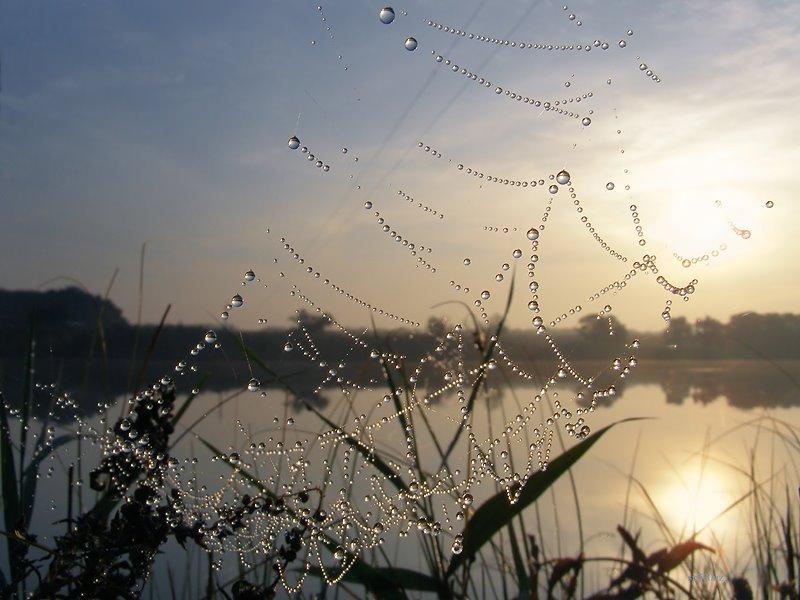 Дем'янівка з panoramio.com - Дем'янівка