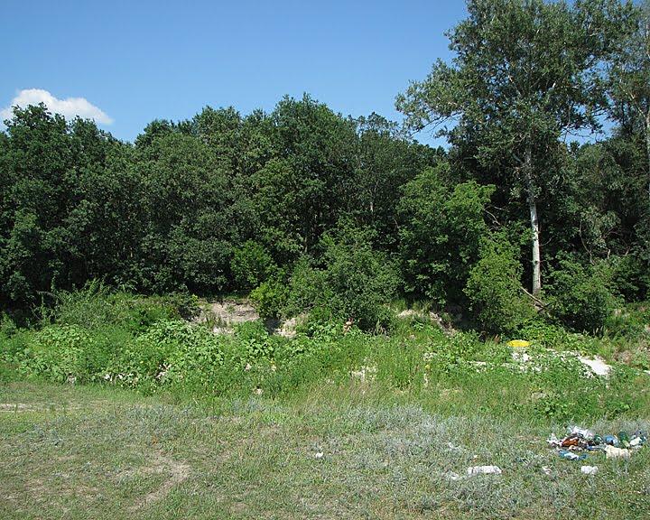 Буланове з panoramio.com - Буланове