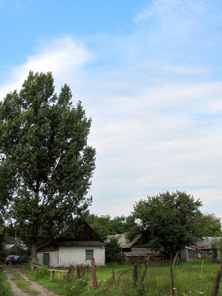 Кузнецовськ з panoramio.com - Varash