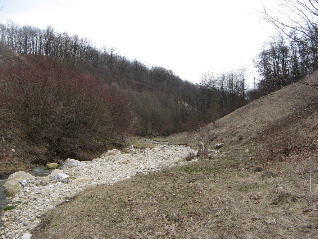 Шебутинці з panoramio.com - Шебутинцы