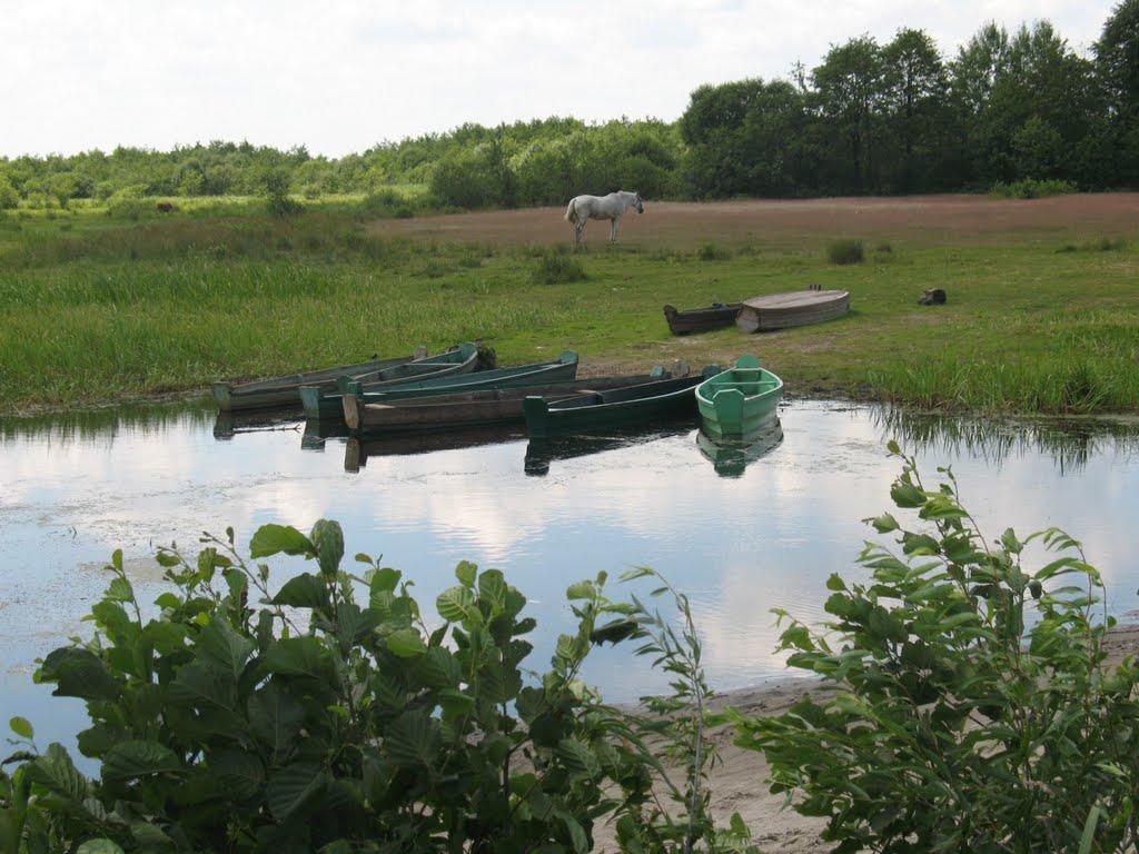 Річиця з panoramio.com - Річиця