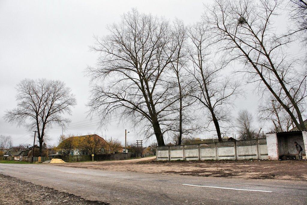 Смолин з panoramio.com - Смолин