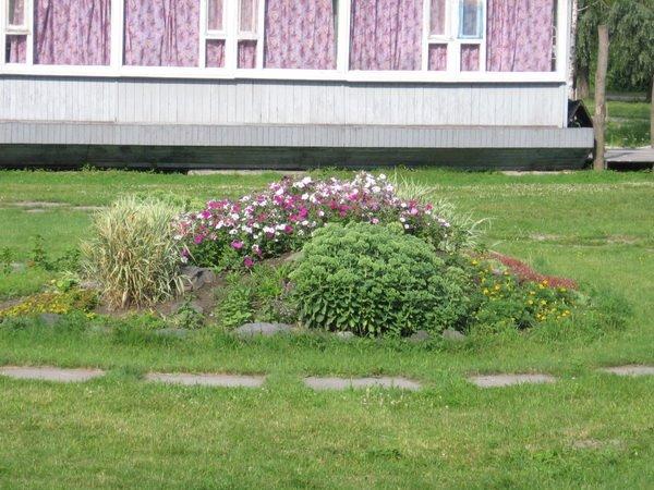 Сеньківка з panoramio.com - Сеньківка