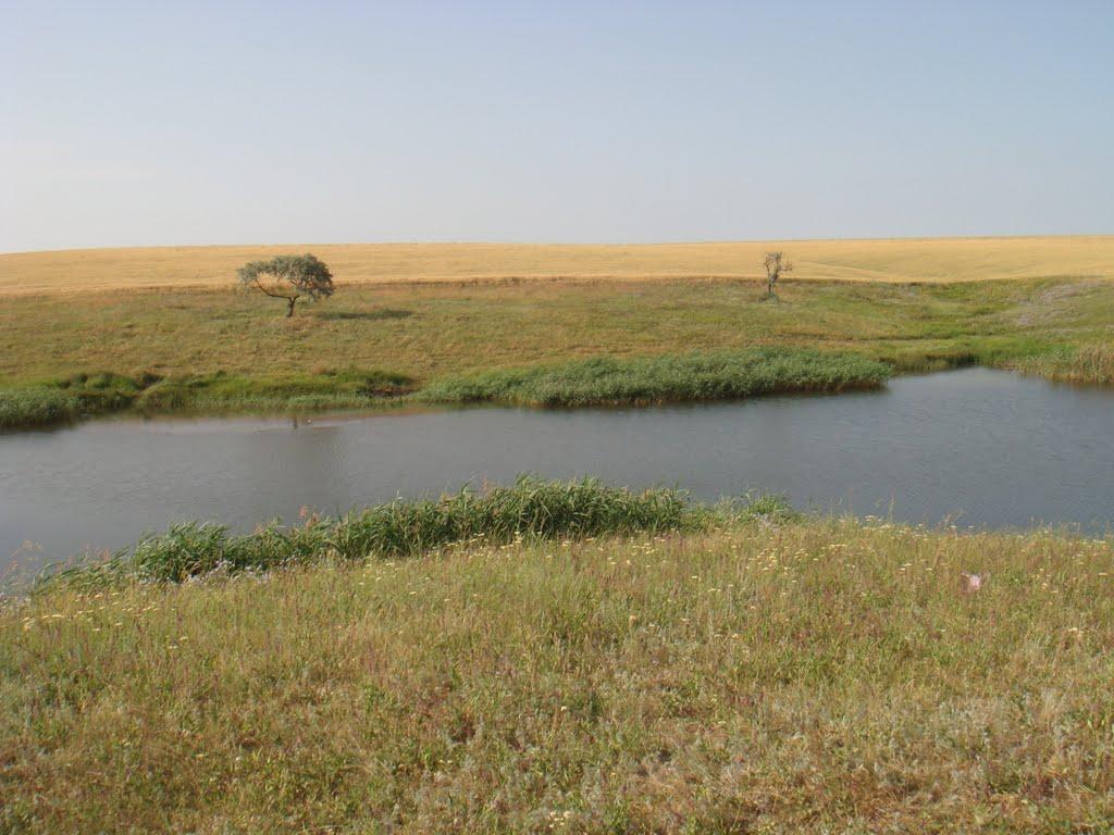 Переможне з panoramio.com - Переможне