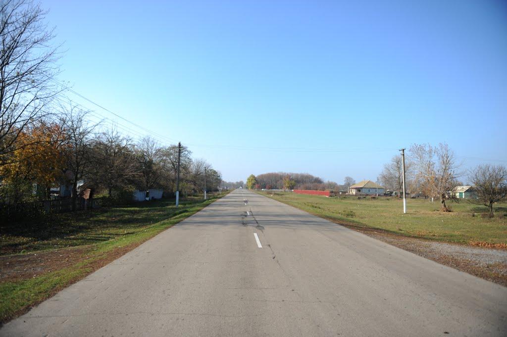 Нова Оржиця з panoramio.com - Новая Оржица